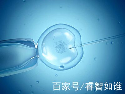 国医馆